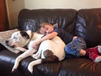 QUA LA ZAMPA!, LE TANTE VITE DI UN CANE