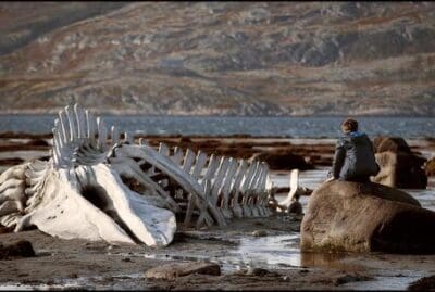 CINEMA: NELLE SALE A MAGGIO LEVIATHAN