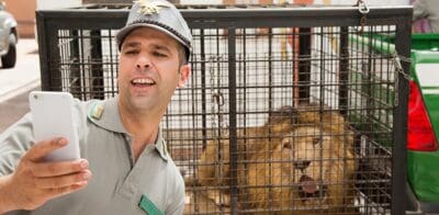 CHECCO ZALONE TRIPLICA: 22 MILIONI IN TRE GIORNI PER “QUO VADO?”