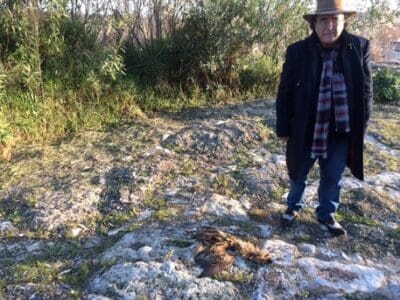 ALBANO DENUNCIA UCCISIONE AIRONE