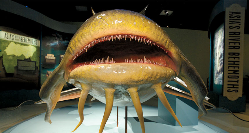 Lunedì arriva, su Alpha, “Monster fish”