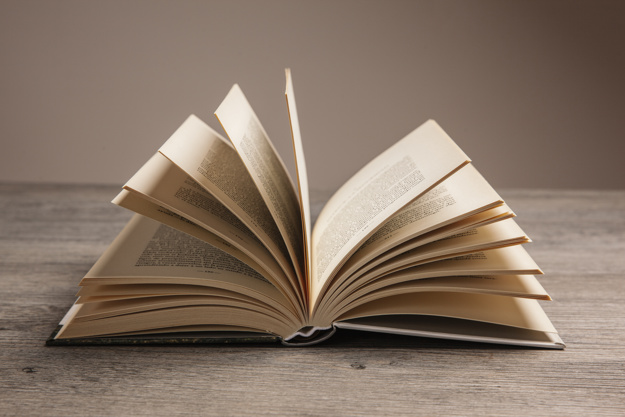 Il Salone Libro torna in presenza con Perrin e Gimenez Bartlett