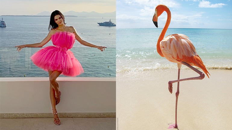 Instagram: è ora di sfoggiare la #FlamingoPose