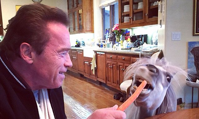 Arnold Schwarzenegger, amico degli animali: «Mai mangiare da soli» Arnold Schwarzenegger, amico degli animali: «Mai mangiare da soli»