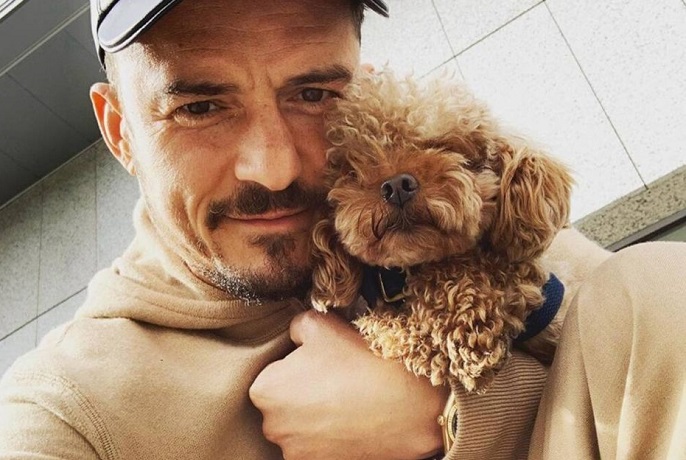 Orlando Bloom lancia un appello per ritrovare il cane Mighty: «Ho il cuore spezzato»