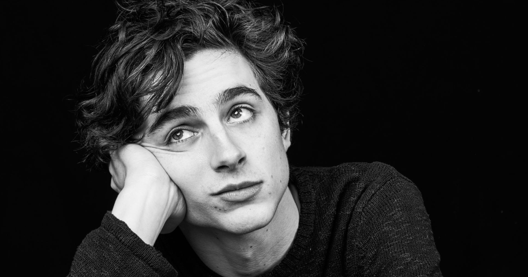 Timothée Chalamet sarà il nuovo Willy Wonka?