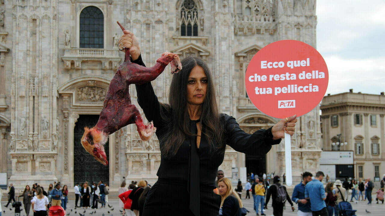Rosita Celentano protesta con una ‘volpe scuoiata’ contro la Milano Fashion Week