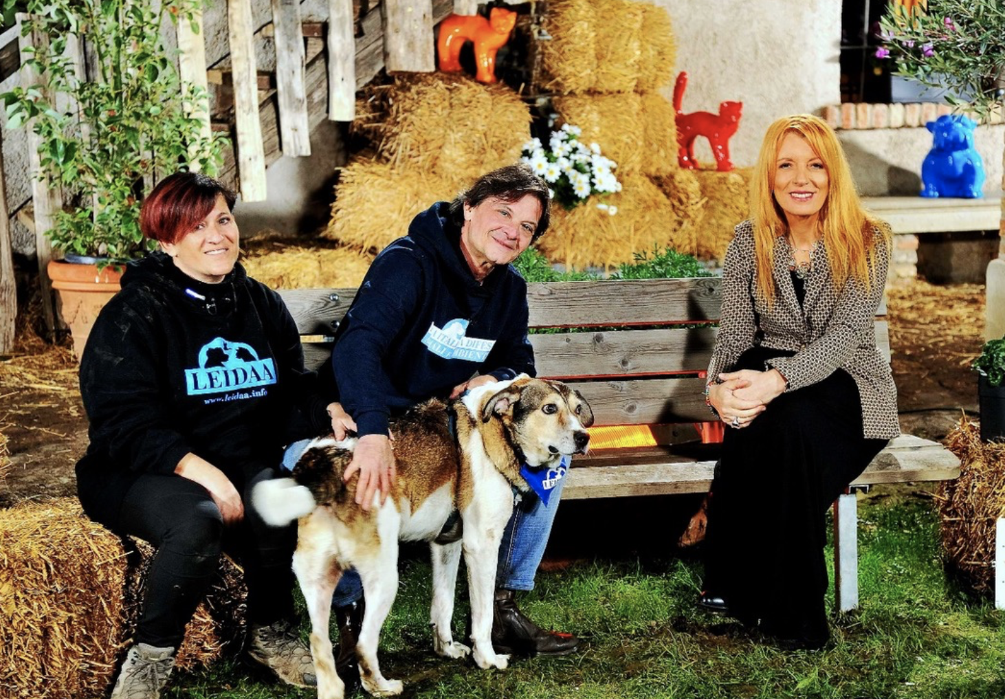 Rete 4, torna “Dalla parte degli animali”