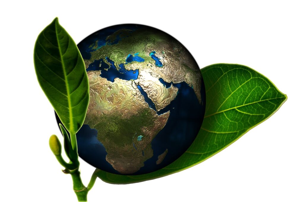 La Rai celebra la Giornata mondiale dell’ambiente