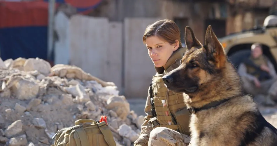 Sergente Rex, la storia vera del cane e del caporale Megan Leavey Sergente Rex, la storia vera del cane e del caporale Megan Leavey