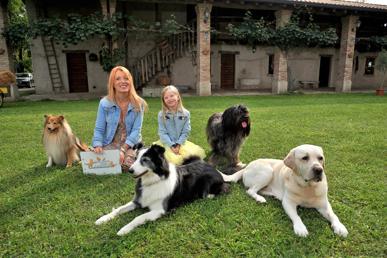 TV, a “Dalla parte degli animali”, con L’On. Michela Vittoria Brambilla e la piccola Stella, gli asinelli sardi, il museo del mare di Milazzo e i piccoli falchi liberati al cras stella del nord TV, a “Dalla parte degli animali”, con L’On. Michela Vittoria Brambilla e la piccola Stella, gli asinelli sardi, il museo del mare di Milazzo e i piccoli falchi liberati al cras stella del nord