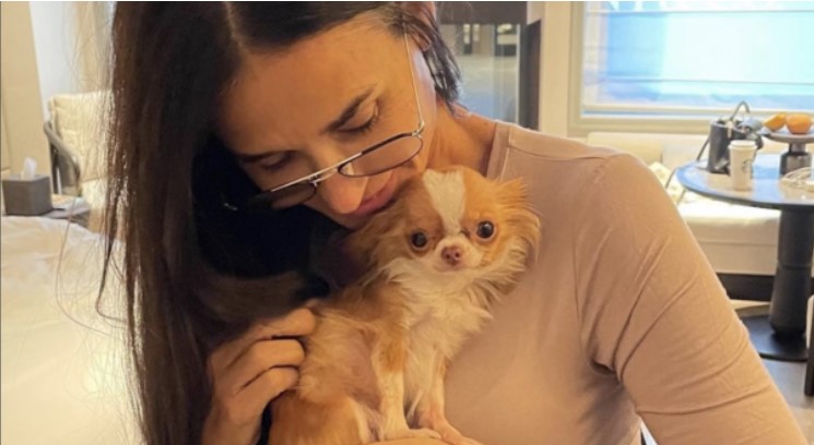 Demi Moore candida il suo chihuahua per il guinness dei primati