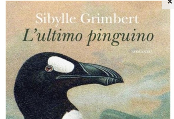 Grimbert, nel nuovo libro l’amicizia con un pinguino