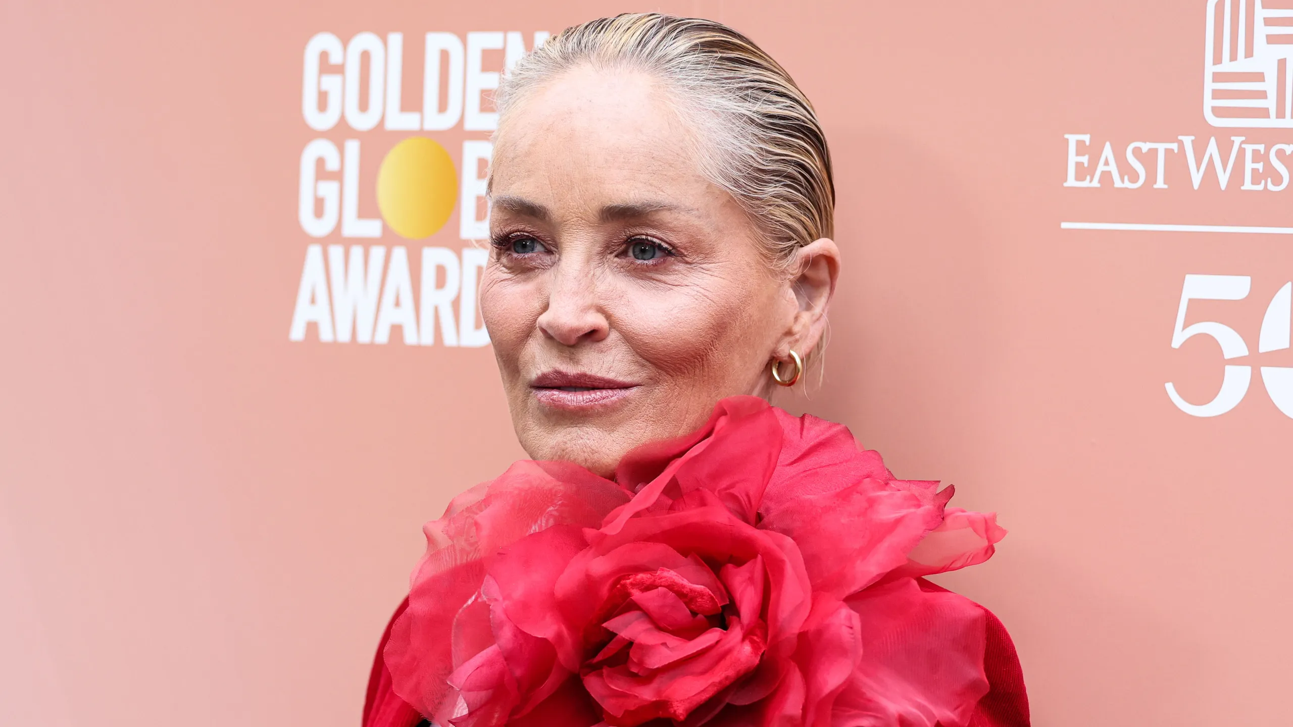Sharon Stone parla della sua disabilità: “Se non dormo 8 ore di seguito rischio crisi epilettiche”