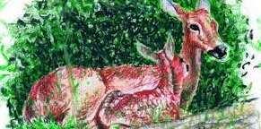 I 100 anni di Bambi, elfi e magie nelle Strenne natalizie per i ragazzi I 100 anni di Bambi, elfi e magie nelle Strenne natalizie per i ragazzi
